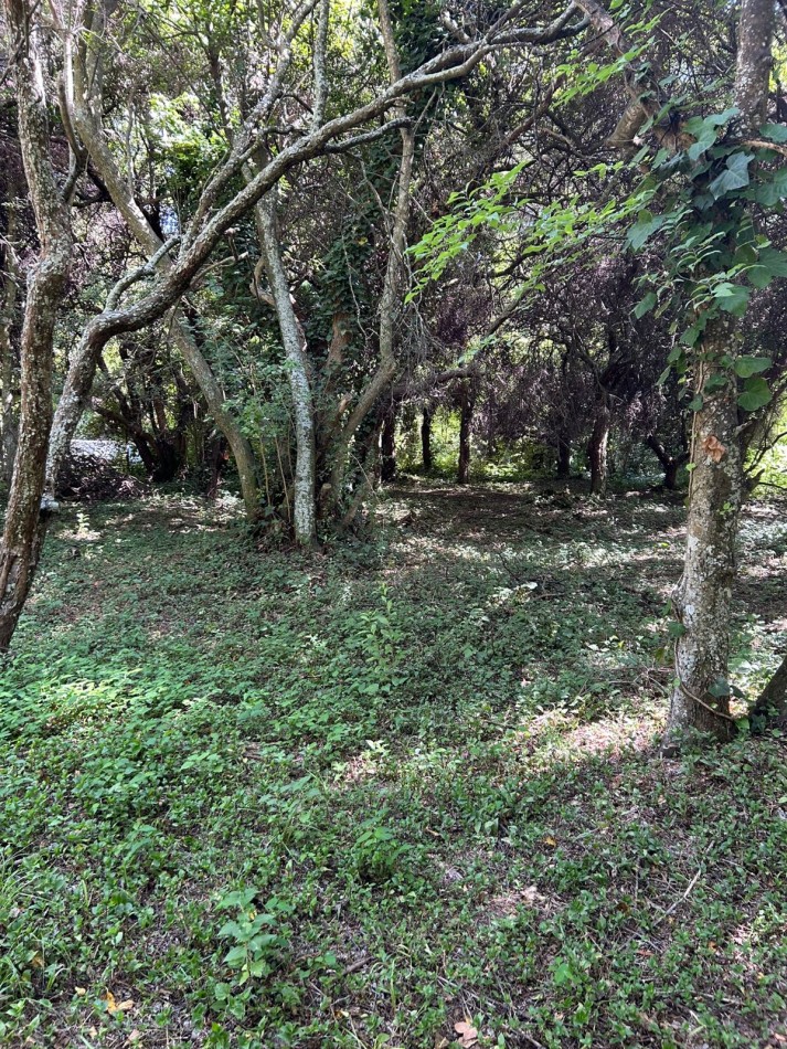 En venta lote 18x60 calle Moreno entre Pringles y Laprida, Punta del Indio