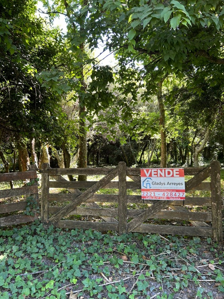 En venta lote 18x60 calle Moreno entre Pringles y Laprida, Punta del Indio