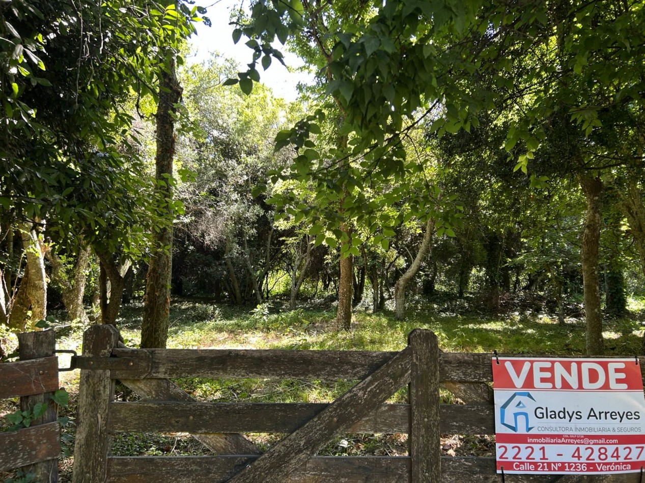 En venta lote 18x60 calle Moreno entre Pringles y Laprida, Punta del Indio