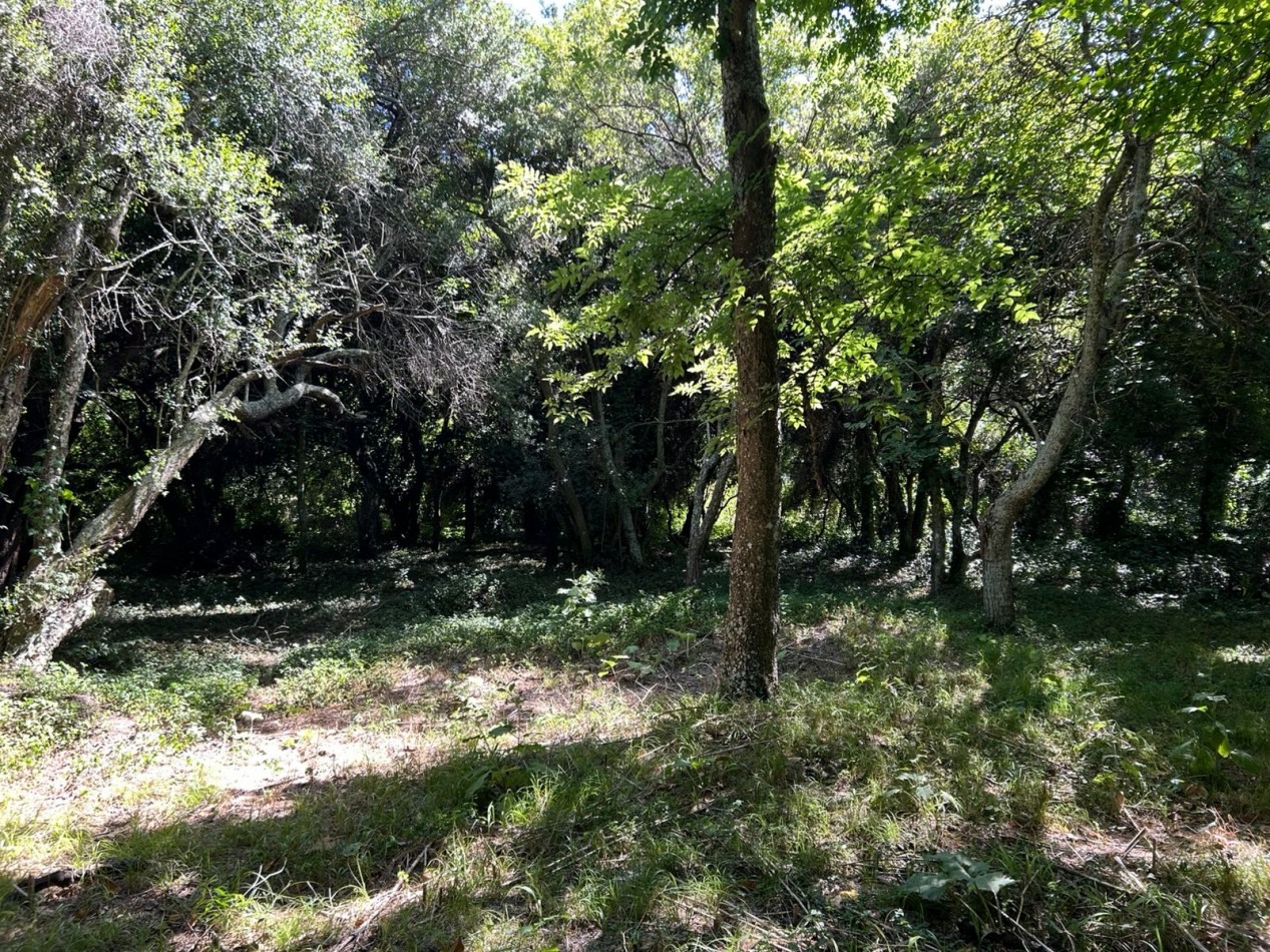 En venta lote 18x60 calle Moreno entre Pringles y Laprida, Punta del Indio