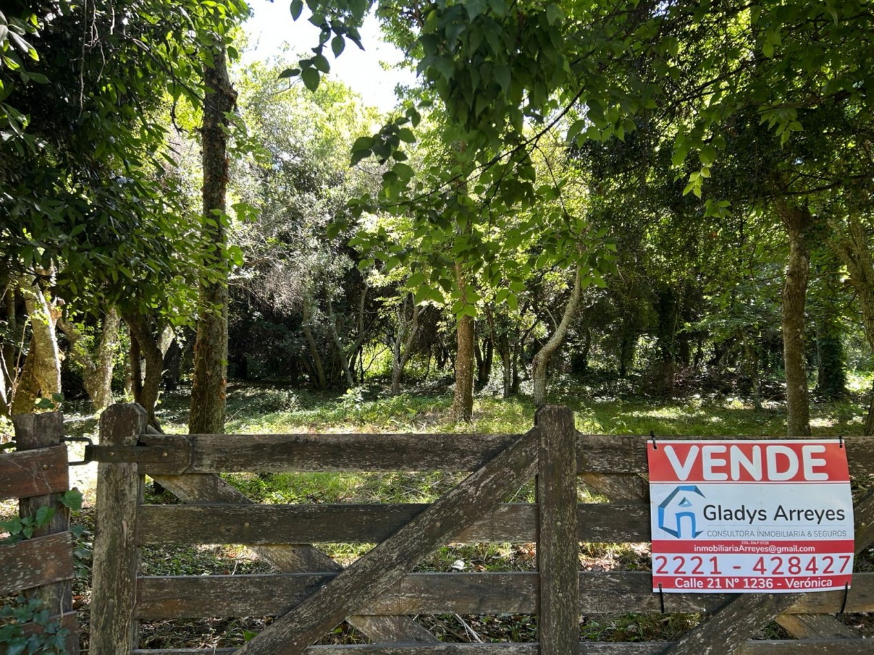 En venta lote 18x60 calle Moreno entre Pringles y Laprida, Punta del Indio