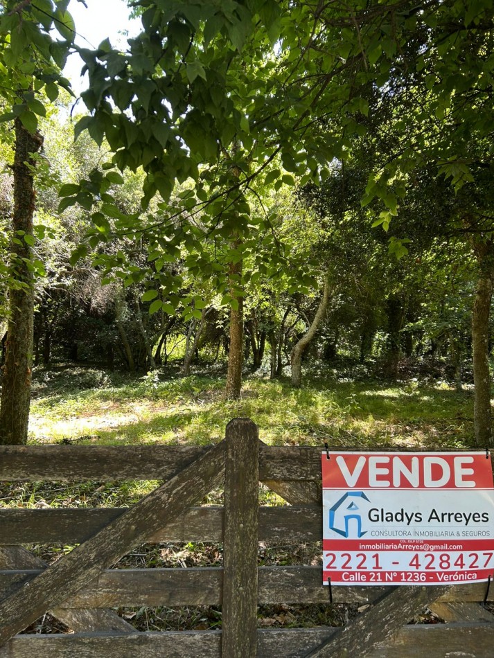 En venta lote 18x60 calle Moreno entre Pringles y Laprida, Punta del Indio