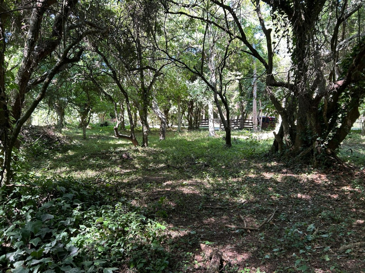 En venta lote 18x60 calle Moreno entre Pringles y Laprida, Punta del Indio