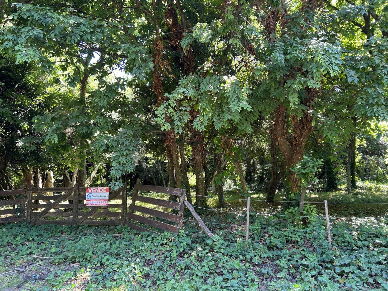 En venta lote 18x60 calle Moreno entre Pringles y Laprida, Punta del Indio