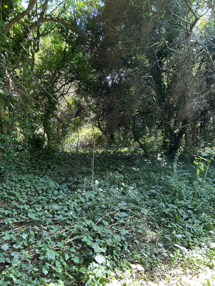 En venta lote 18x60 calle Moreno entre Pringles y Laprida, Punta del Indio