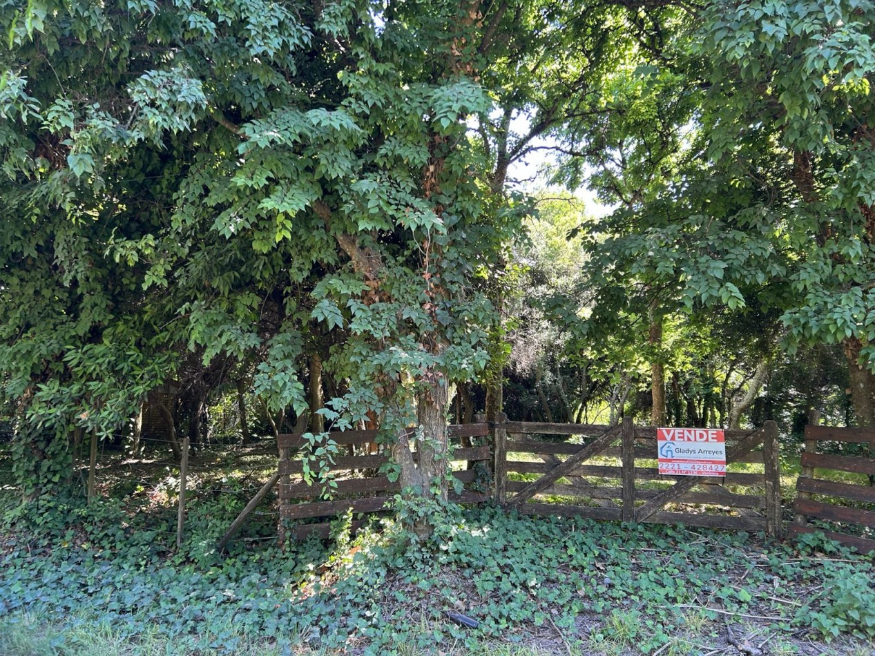 En venta lote 18x60 calle Moreno entre Pringles y Laprida, Punta del Indio