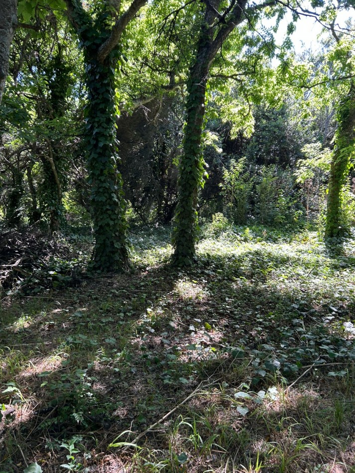 En venta lote 18x60 calle Moreno entre Pringles y Laprida, Punta del Indio