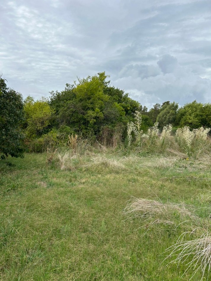 En venta lote de 20x70 en calle Mamboreta, Punta del Indio