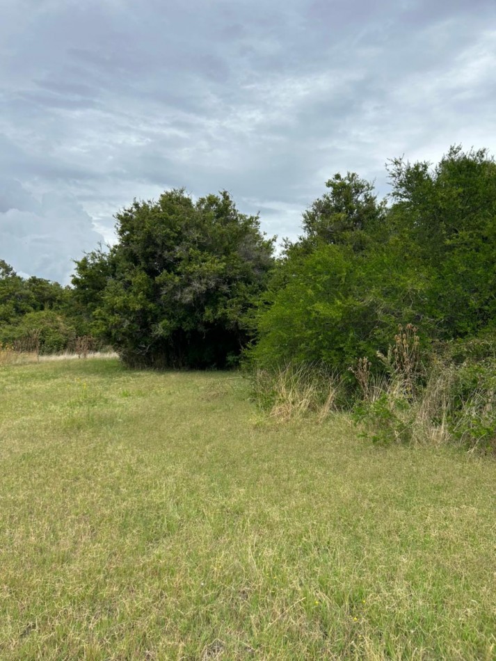 En venta lote de 20x70 en calle Mamboreta, Punta del Indio