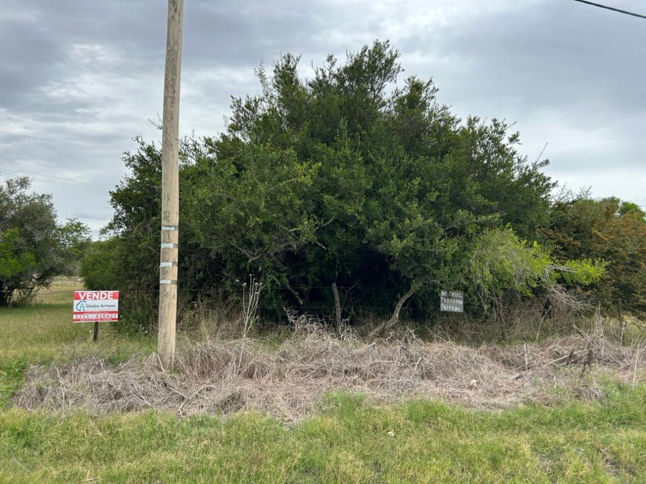 En venta lote de 20x70 en calle Mamboreta, Punta del Indio