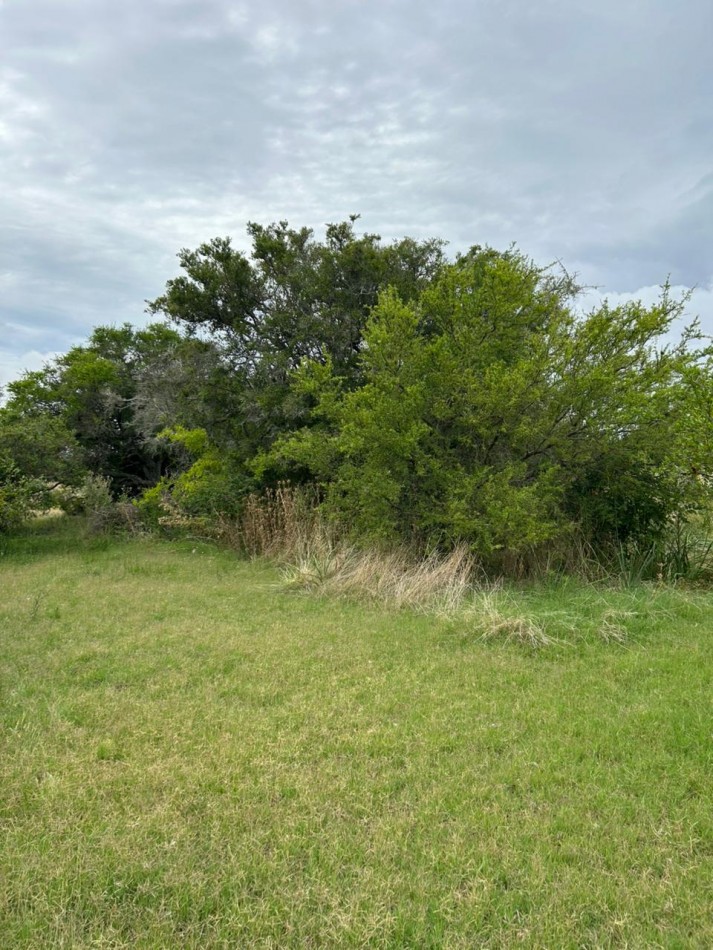 En venta lote de 20x70 en calle Mamboreta, Punta del Indio