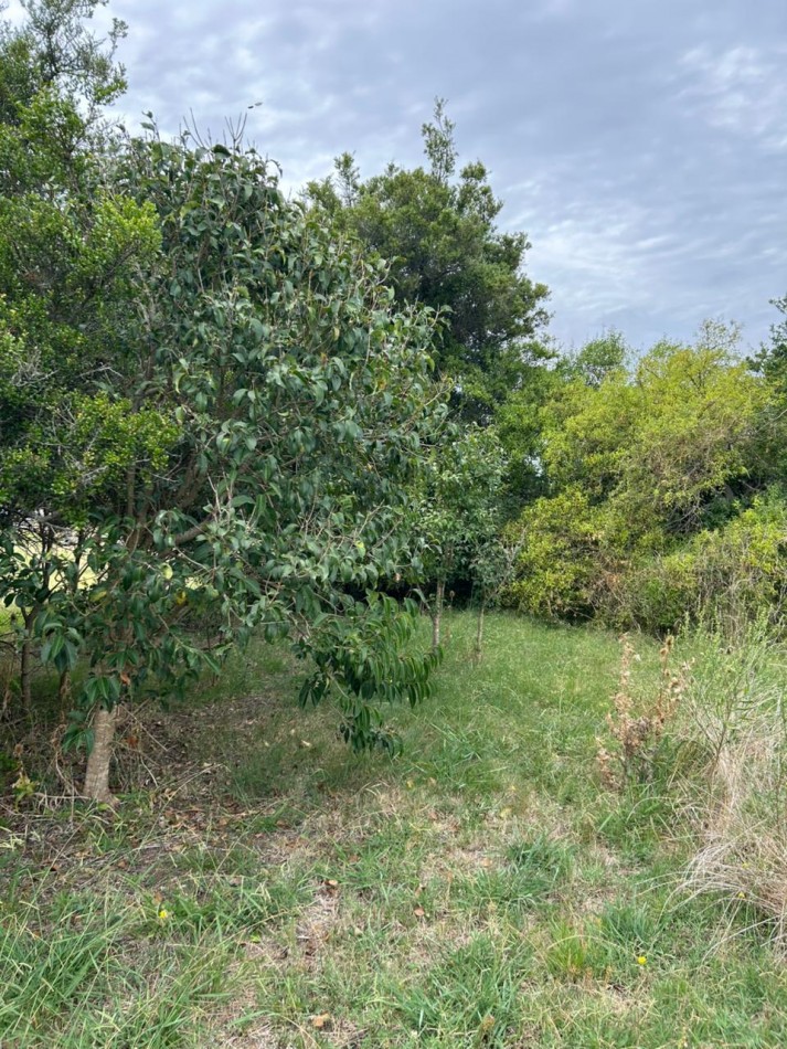 En venta lote de 20x70 en calle Mamboreta, Punta del Indio