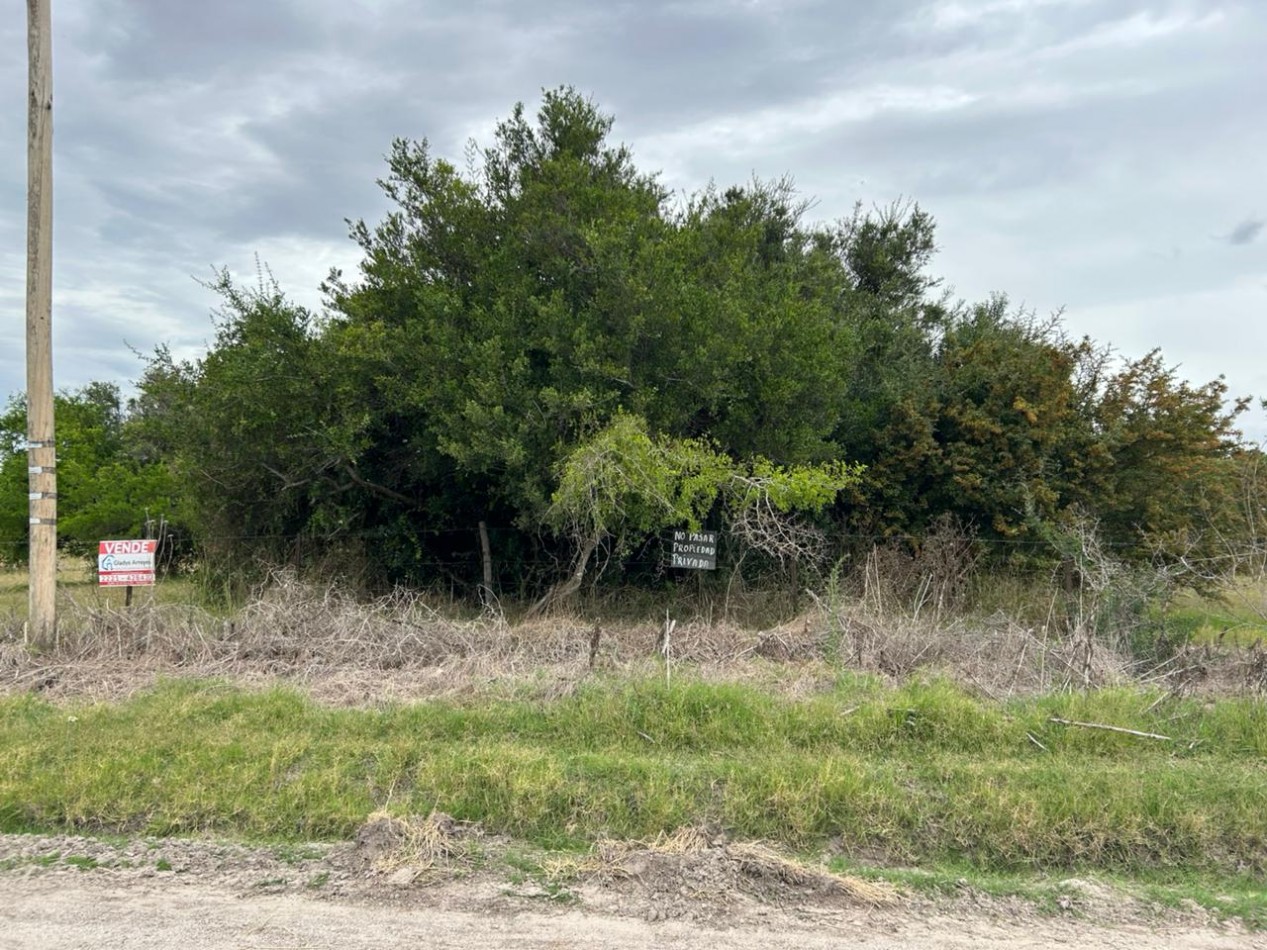 En venta lote de 20x70 en calle Mamboreta, Punta del Indio