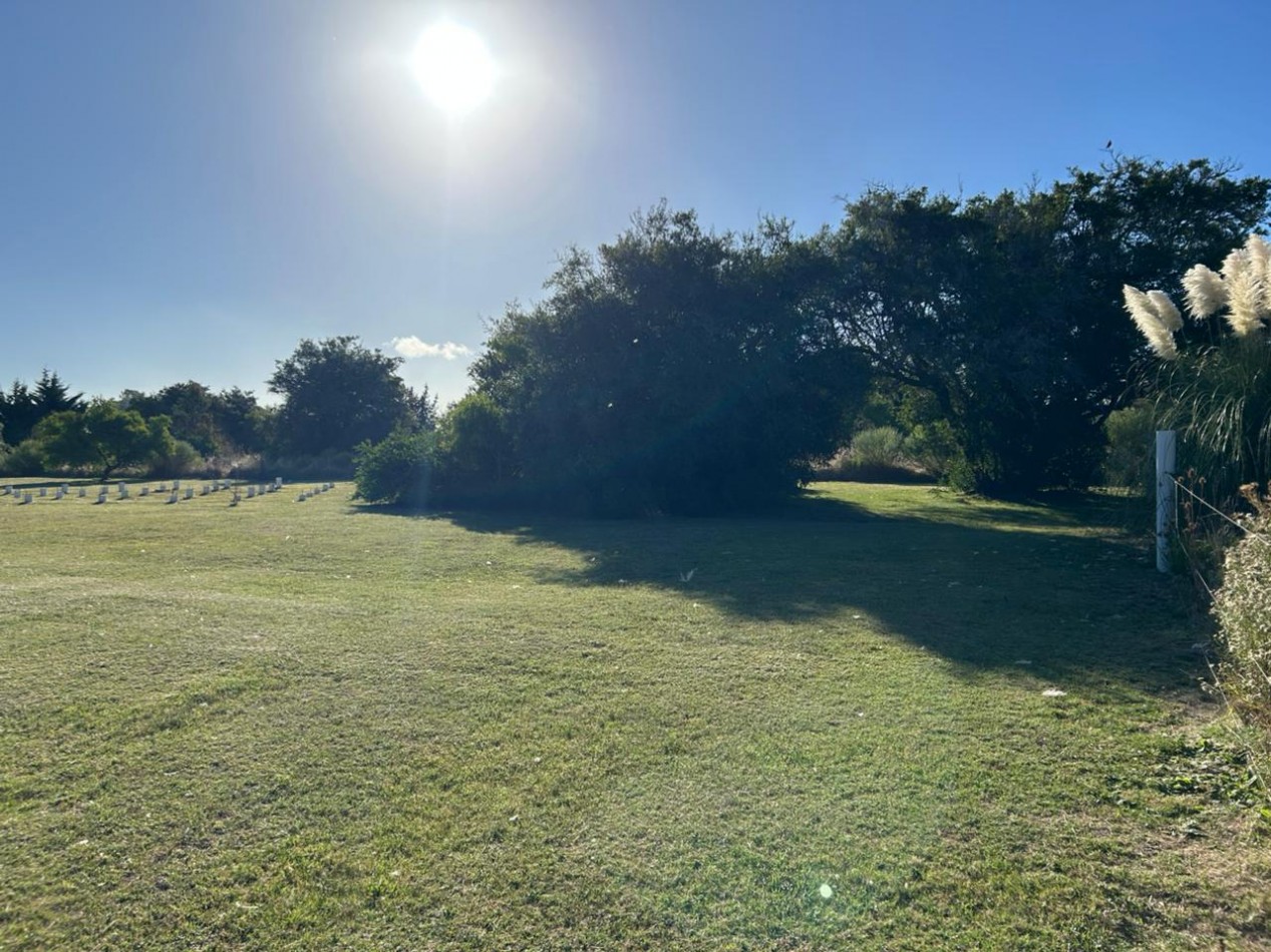 En venta lotes sobre calle Roca entre Lisandro De La Torre y Araucanos, Punta del Indio