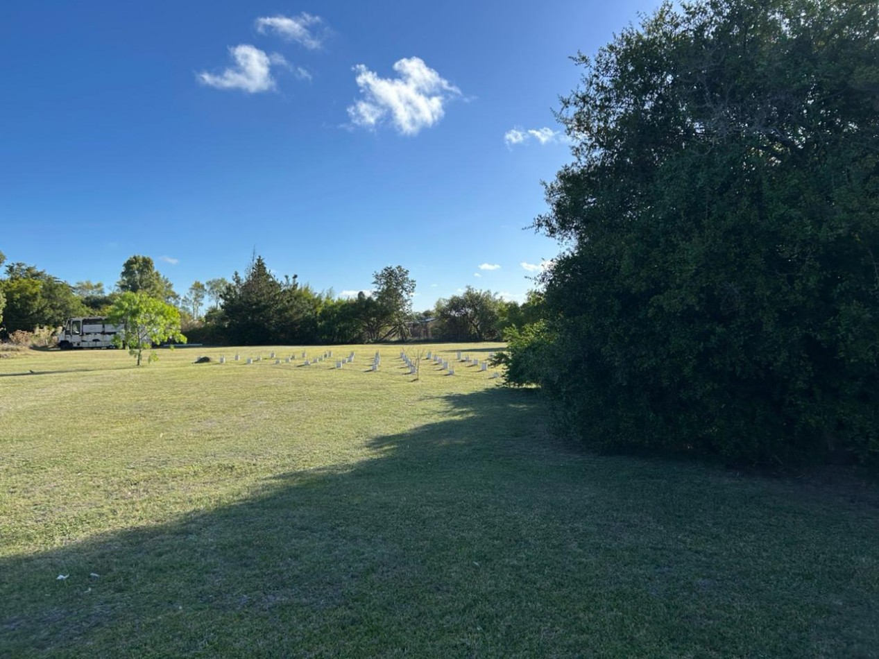 En venta lotes sobre calle Roca entre Lisandro De La Torre y Araucanos, Punta del Indio