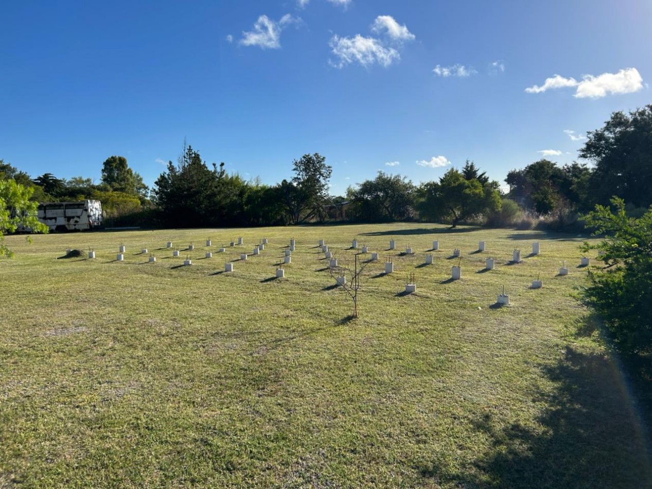 En venta lotes sobre calle Roca entre Lisandro De La Torre y Araucanos, Punta del Indio