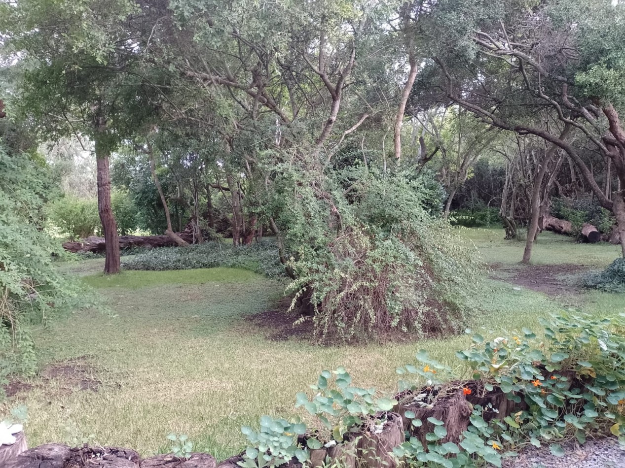 Casa campestre estilo cabaña loft de doble altura en calle El Pericon, Punta Indio