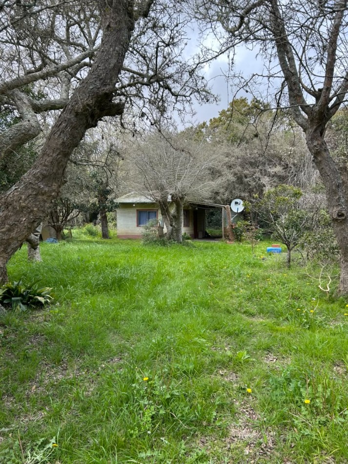 Lote De 20x40mts Con Mejoras En Calle Huascar, Localidad De Punta Indio