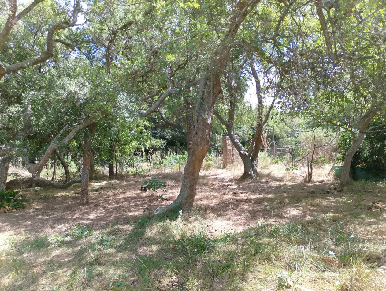 Lote De 20x40mts Con Mejoras En Calle Huascar, Localidad De Punta Indio