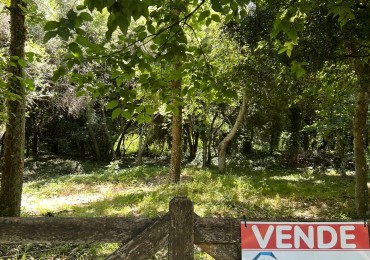 En venta lote 18x60 calle Moreno entre Pringles y Laprida, Punta del Indio