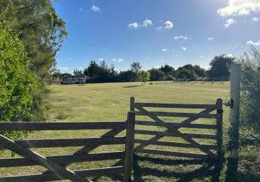 En venta lotes sobre calle Roca entre Lisandro De La Torre y Araucanos, Punta del Indio