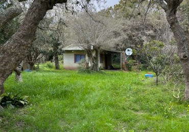 Lote De 20x40mts Con Mejoras En Calle Huascar, Localidad De Punta Indio
